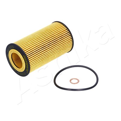 ASHIKA 10-ECO021 EAN: 8033001186260.