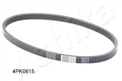 ASHIKA 112-4PK615 Číslo výrobce: 112-4PK615. EAN: 8033001461763.