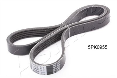 ASHIKA 112-5PK955 EAN: 8033001463163.