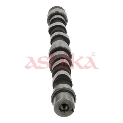 ASHIKA 16SZ004 EAN: 8033001928808.
