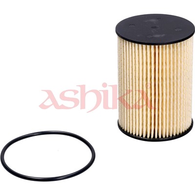 ASHIKA 30-ECO031 EAN: 8033001755275.