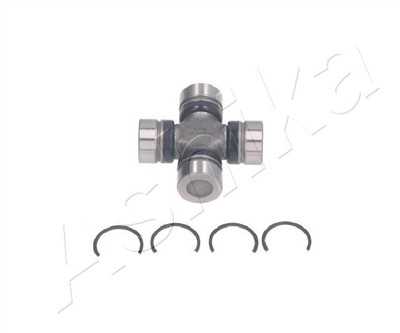 ASHIKA 66-00-006 EAN: 8033001332889.