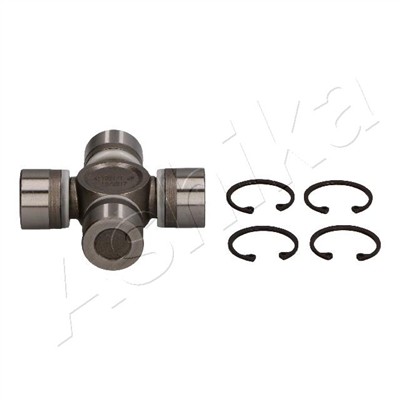 ASHIKA 66-01-109 EAN: 8033001840438.