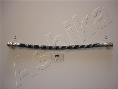 ASHIKA 69-05-501 EAN: 8033001252262.