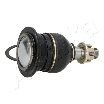 ASHIKA 73-02-246 EAN: 8033001667219.