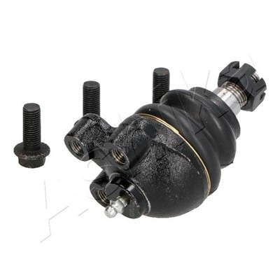 ASHIKA 73-05-513 EAN: 8033001392791.