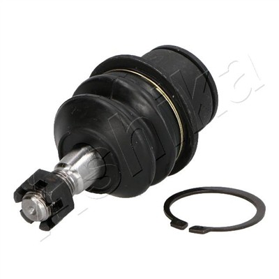 ASHIKA 73-09-919 EAN: 8052553144672.