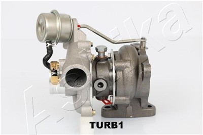 ASHIKA TURB1 EAN: 8033001174601.