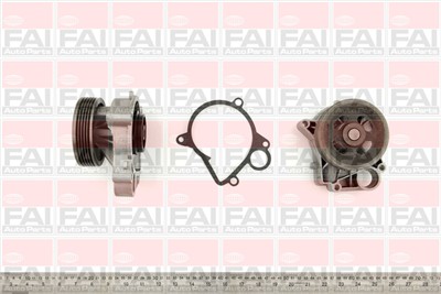 FAI AutoParts WP6231 EAN: 5027049173859.