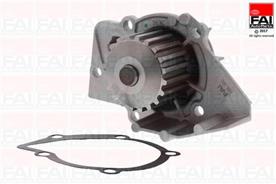 FAI AutoParts WP6242 EAN: 5027049173231.