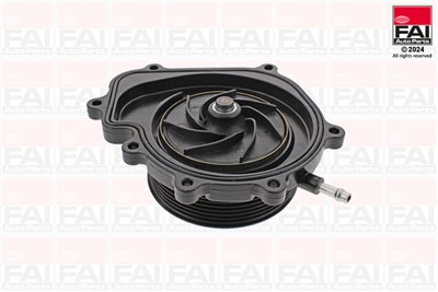 FAI AutoParts WP6603 EAN: 5027049336551.