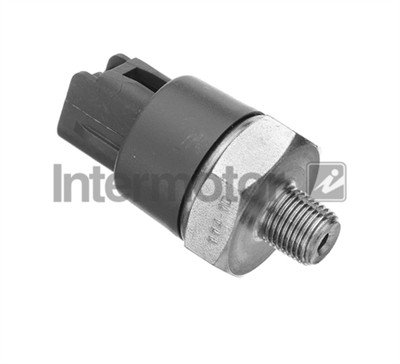 INTERMOTOR 51181 EAN: 5012225649556.