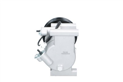 BV PSH 090.145.010.200 Číslo výrobce: 090.145.010+. EAN: 8720264707546.