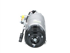 BV PSH 090.215.096.020