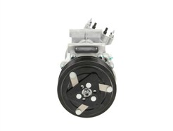 BV PSH 090.225.011.876