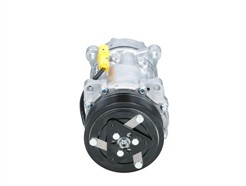 BV PSH 090.225.012.876