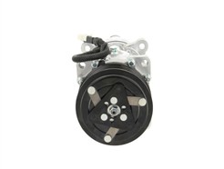 BV PSH 090.225.015.876