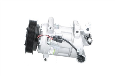 BV PSH 090.575.033.876 Číslo výrobce: PXC14-1762+. EAN: 8720653424795.