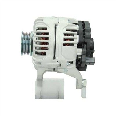 BV PSH 205.511.090.010 Číslo výrobce: 0.124.325.017+. EAN: 8720264140985.