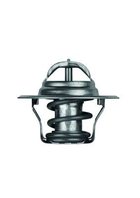 MAHLE ORIGINAL TX 14 87D Číslo výrobce: 1.180.87.302. EAN: 4250192932719.