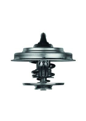 MAHLE ORIGINAL TX 18 79D Číslo výrobce: 2.082.79.312. EAN: 4250192902859.