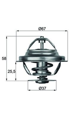 MAHLE ORIGINAL TX 20 71D Číslo výrobce: 2.087.71.300. EAN: 4250192910809.
