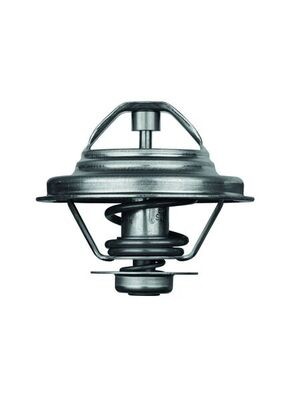 MAHLE ORIGINAL TX 24 87D Číslo výrobce: 2.112.87.312. EAN: 4250192923069.