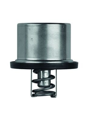 MAHLE ORIGINAL TX 37 79 Číslo výrobce: 2.402.79. EAN: 4250192921751.