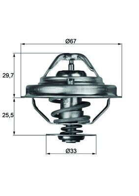 MAHLE ORIGINAL TX 38 80D Číslo výrobce: 2.413.80. EAN: 4250192934836.