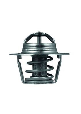 MAHLE ORIGINAL TX 91 89D Číslo výrobce: 70808496. EAN: 4250192993185.