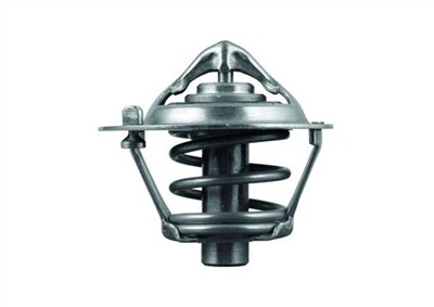 MAHLE ORIGINAL TX 113 82D Číslo výrobce: 70601666. EAN: 4009026926277.