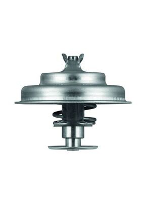 MAHLE ORIGINAL TX 75 80D Číslo výrobce: 6.124.80. EAN: 4250192917730.