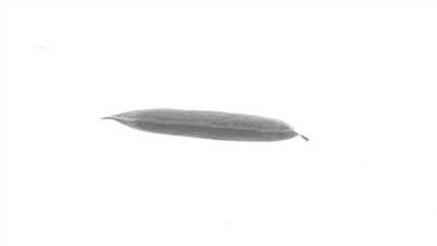 MAHLE ORIGINAL AD 339 000S Číslo výrobce: 72562468.