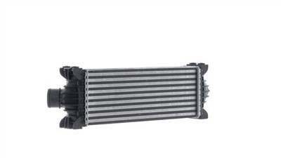 MAHLE ORIGINAL CI 391 000P Číslo výrobce: 72565983.