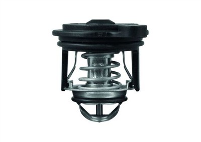 MAHLE ORIGINAL TI 246 50 Číslo výrobce: 72389284. EAN: 4009026952221.