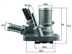 MAHLE ORIGINAL TI 258 80