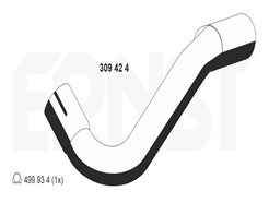 ERNST 309424