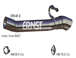ERNST 315418