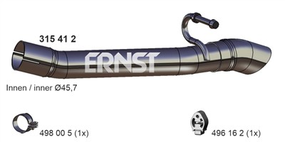 ERNST 315418