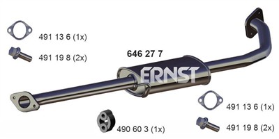 ERNST 646277