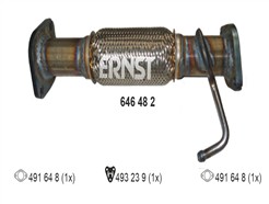 ERNST 646482