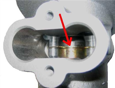 LIZARTE 01.05.2005 EAN: 8435078300127.