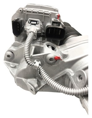 LIZARTE 06.28.2502 EAN: 8435078385506.