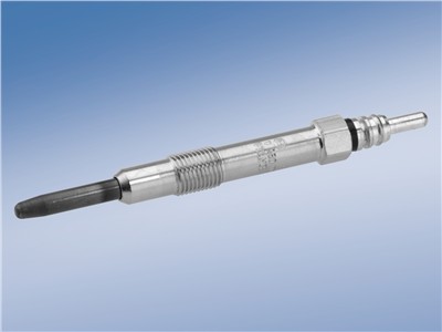 BOSCH 0 250 202 036 Číslo výrobce: GLP007. EAN: 3165143182307.