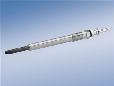 BOSCH 0 250 202 042 Číslo výrobce: GLP019. EAN: 3165143282281.