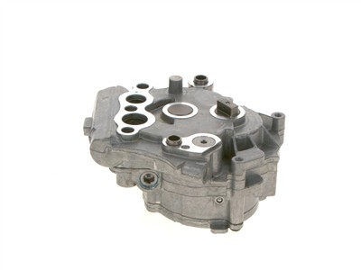 BOSCH F 009 D03 481 Číslo výrobce: GPOD 3000 Euro 5. EAN: 4047023074652.