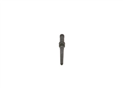 BOSCH F 00R J01 919 EAN: 4047023125675.