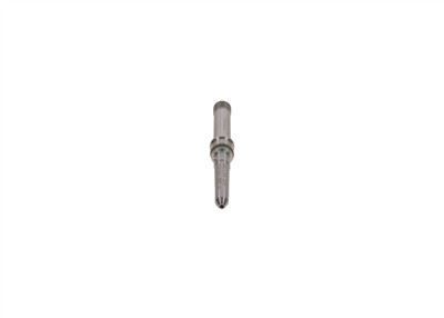 BOSCH F 00R J04 084 EAN: 4047025305303.