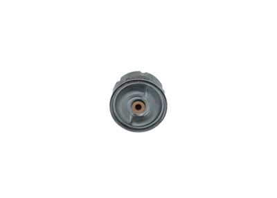 BOSCH F 026 407 099 Číslo výrobce: P 7099. EAN: 4047024808072.