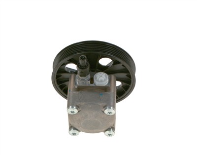 BOSCH K S00 000 092 EAN: 4047025441407.